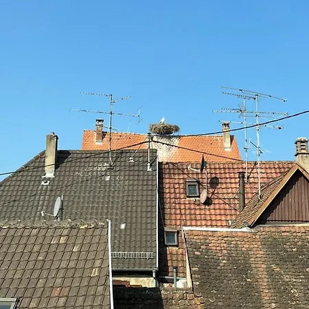 Sous Les Toits Avec Garage Et Terrasse A Ribeauville Buitenkant foto