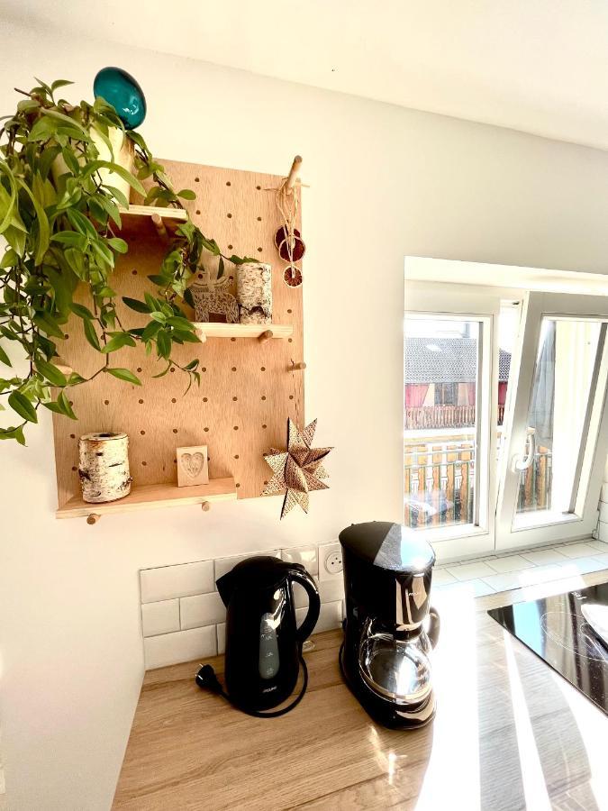 Sous Les Toits Avec Garage Et Terrasse A Ribeauvillé