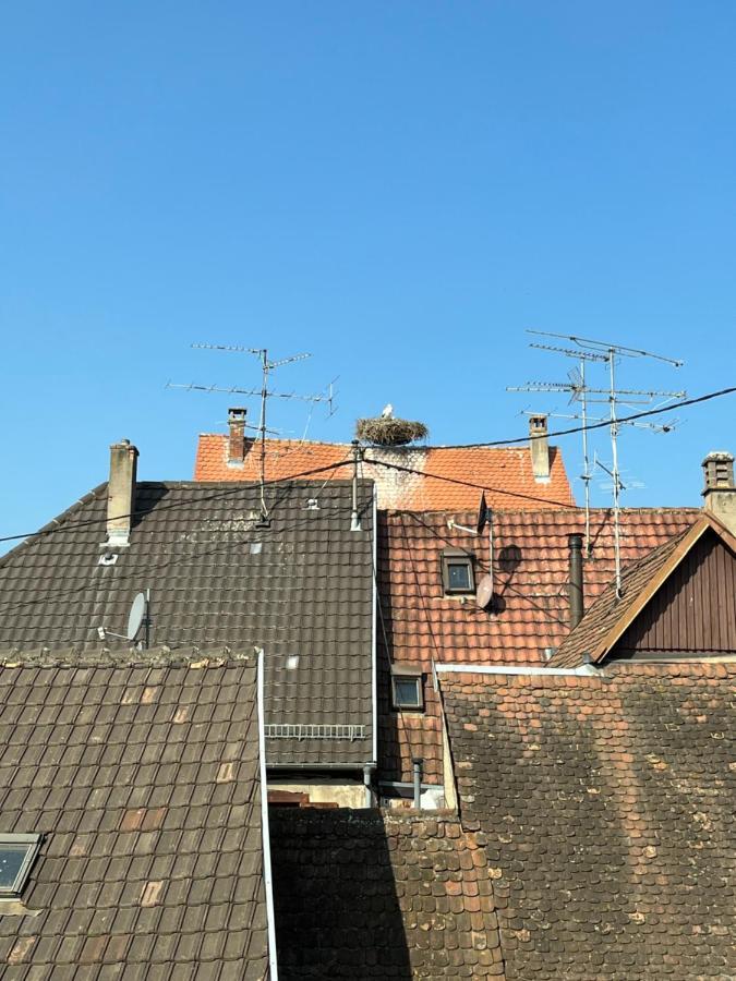 Sous Les Toits Avec Garage Et Terrasse A Appartement