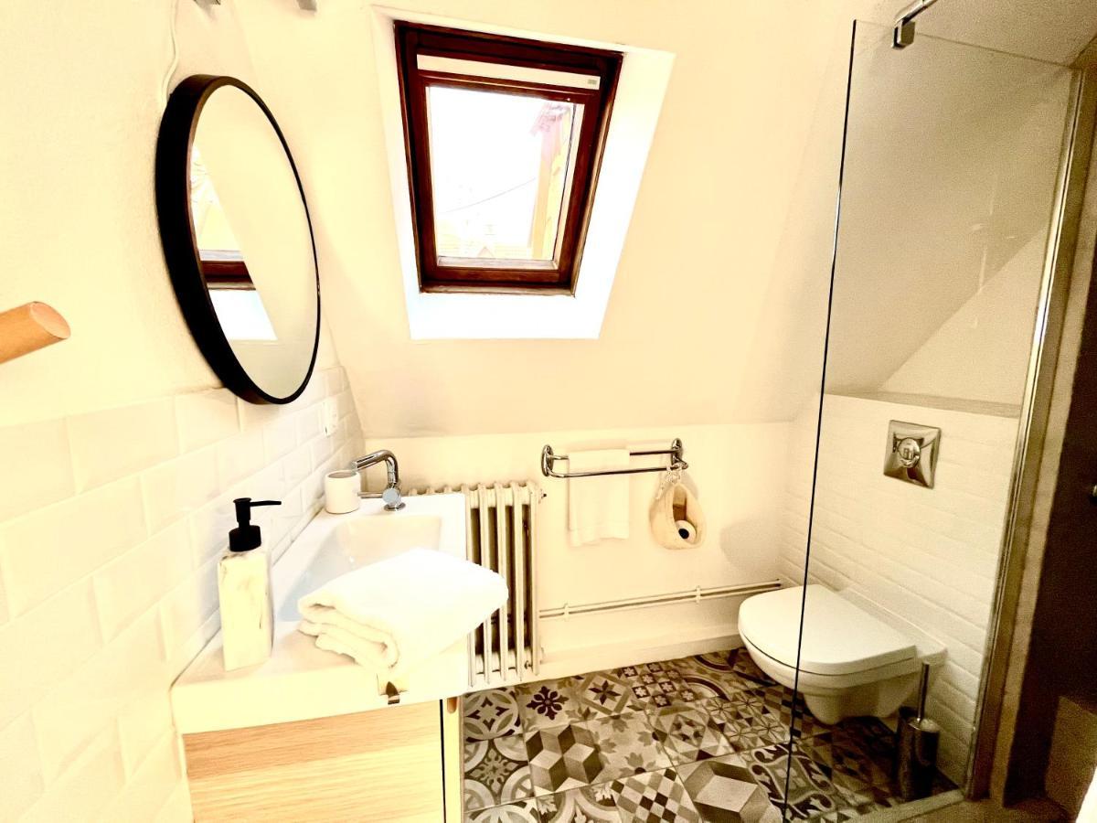 Apartment Sous Les Toits Avec Garage Et Terrasse A Ribeauville (Haut-Rhin)